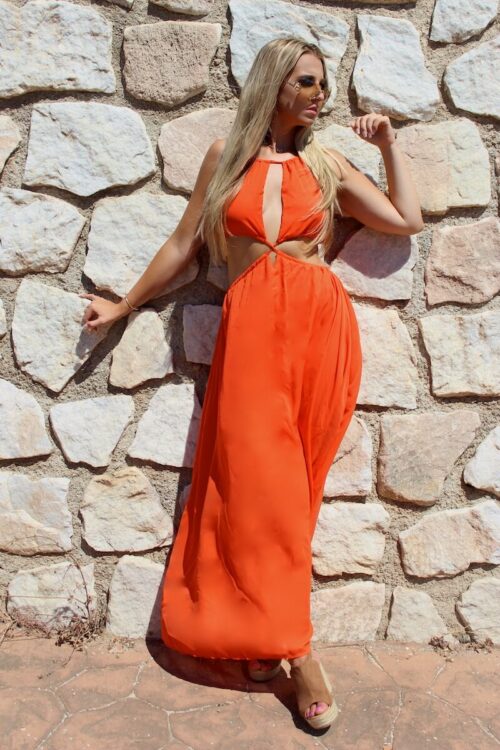 Zara- Cut out waist maxi dress